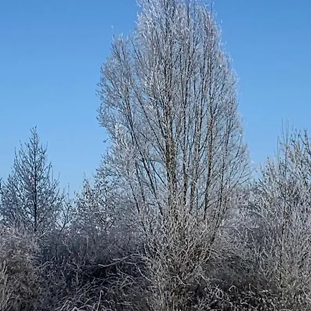 Wohlfuehl Appartments