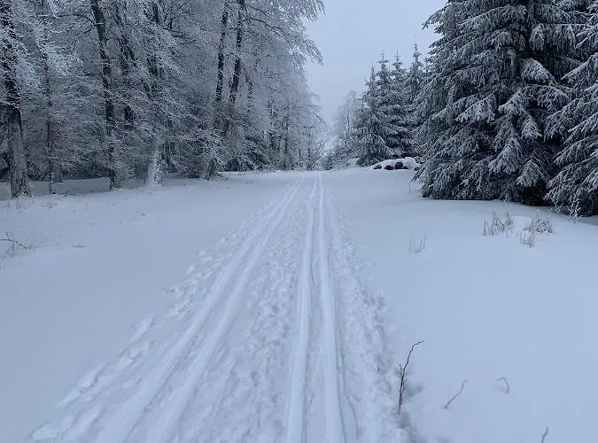 Appartement Wohlfuehl Appartments *