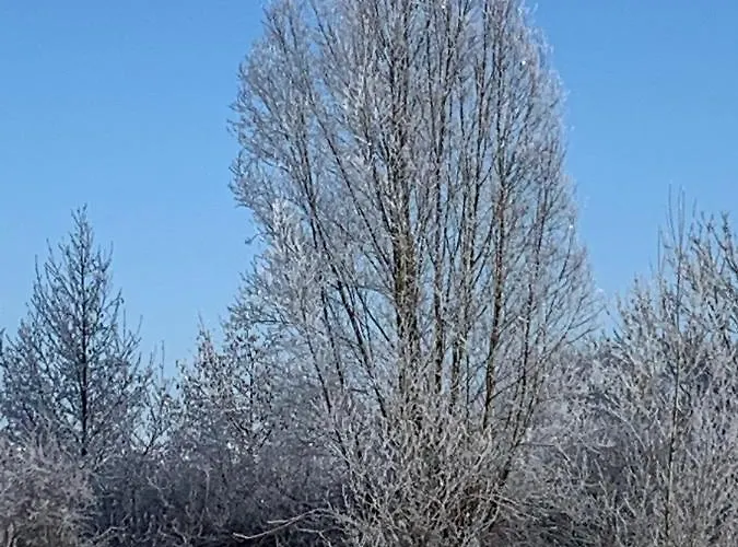 Wohlfuehl Appartments